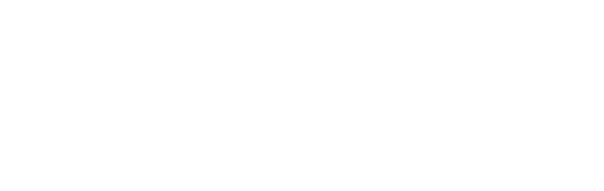 Nordic Hiit logo white